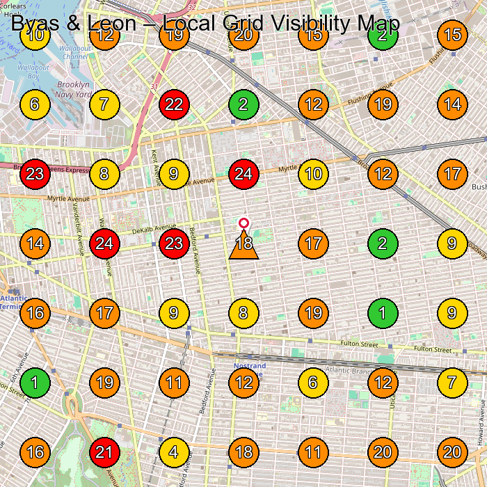 Byas & Leon Clothing Store GeoGrid ranking map for Brooklyn NY